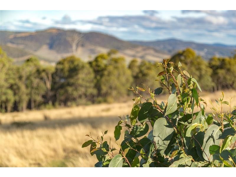 142284/8 Scenic Hill Road, Huonville TAS 7109