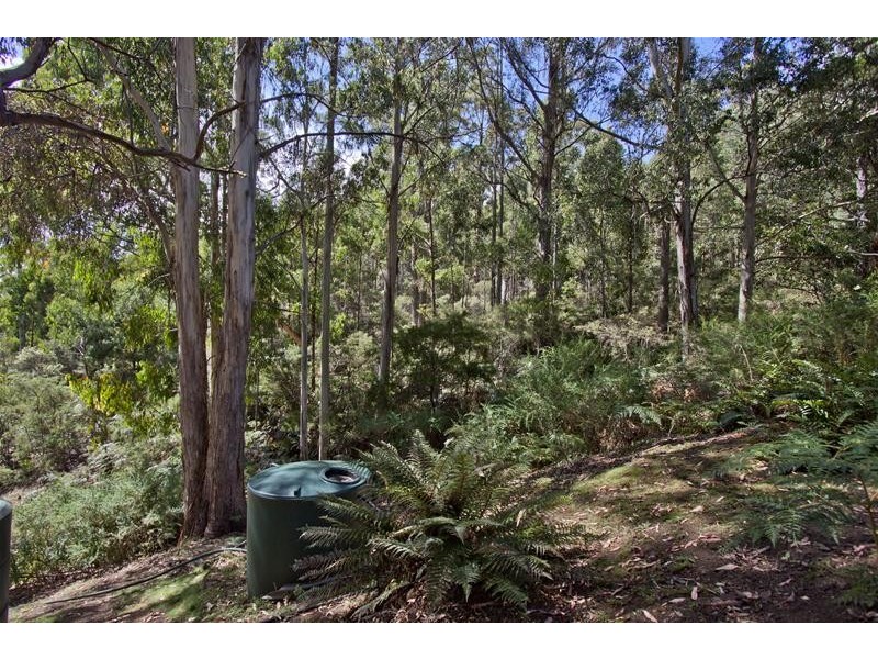 177 Lanes Road, Glen Huon TAS 7109