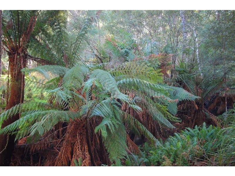 220 Hastings Caves Road, Hastings TAS 7109