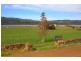 3416 Huon Highway, Franklin TAS 7113