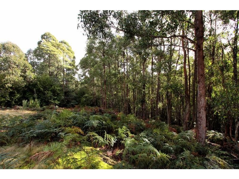 181 Kalonga Road, Nicholls Rivulet TAS 7112