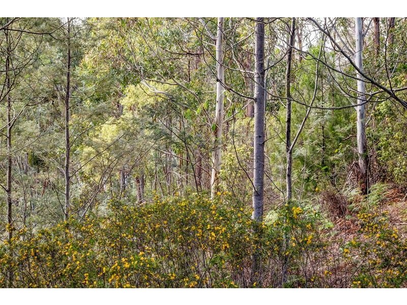 40 Clarks Road, Cradoc TAS 7109