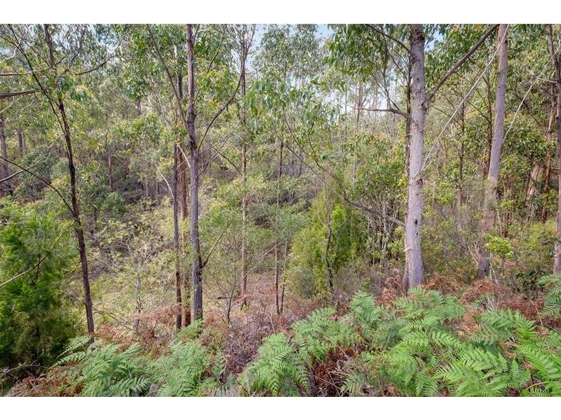 40 Clarks Road, Cradoc TAS 7109