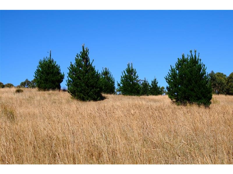 Lot 1 Sandhill Road, Cradoc TAS 7109