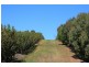 Lot 1 Sandhill Road, Cradoc TAS 7109