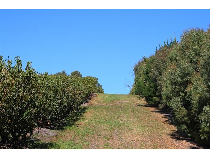 Lot 1 Sandhill Road, Cradoc TAS 7109