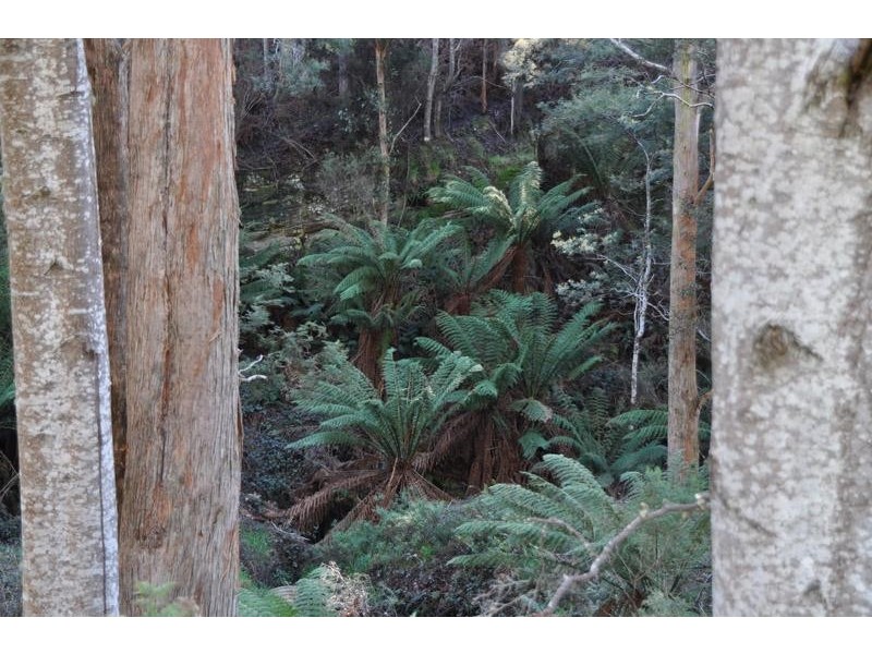 Lot 1 Huon Highway, Glendevie TAS 7109