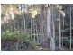 Lot 1 Huon Highway, Glendevie TAS 7109