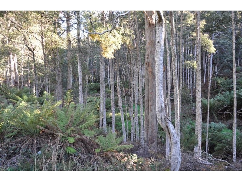 Lot 1 Huon Highway, Glendevie TAS 7109