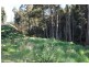 Lot 1 Huon Highway, Glendevie TAS 7109