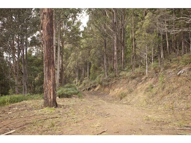 LOT 4 Bakers Creek Road, Lucaston TAS 7109