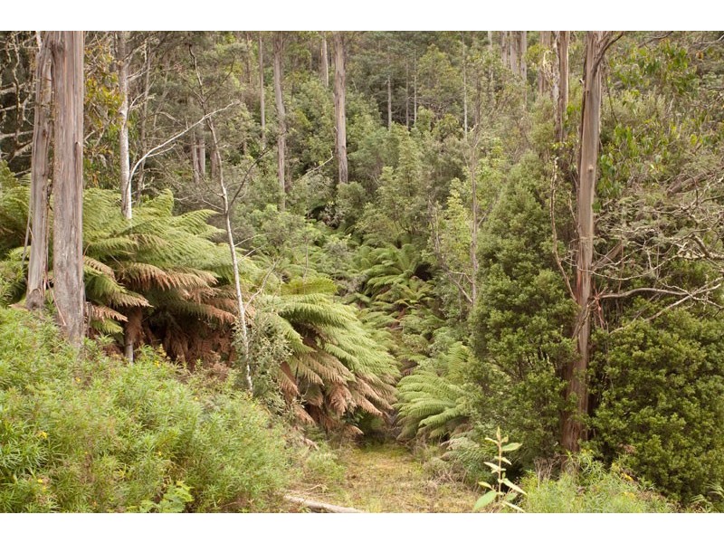 LOT 4 Bakers Creek Road, Lucaston TAS 7109