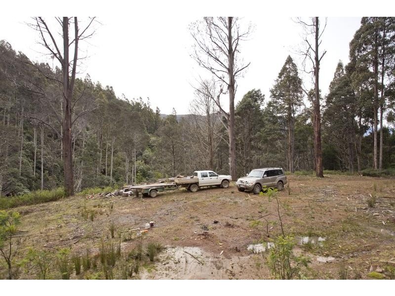 LOT 4 Bakers Creek Road, Lucaston TAS 7109