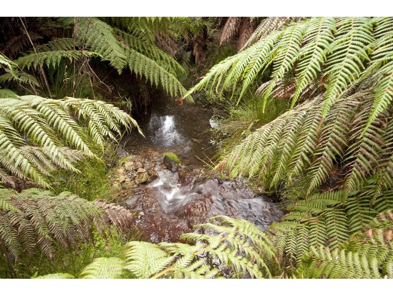 LOT 4 Bakers Creek Road, Lucaston TAS 7109