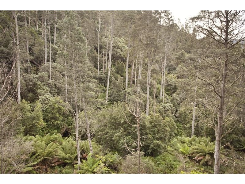 LOT 4 Bakers Creek Road, Lucaston TAS 7109