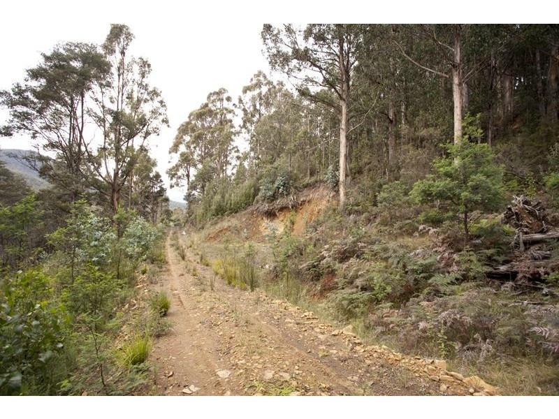 LOT 4 Bakers Creek Road, Lucaston TAS 7109