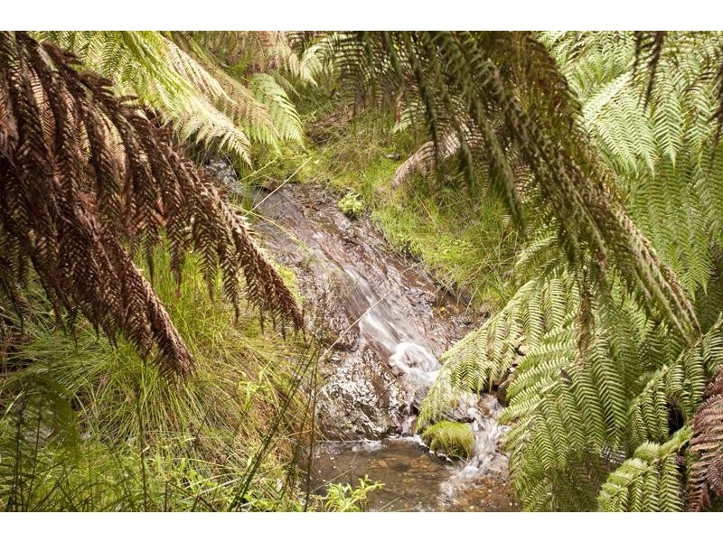 LOT 4 Bakers Creek Road, Lucaston TAS 7109