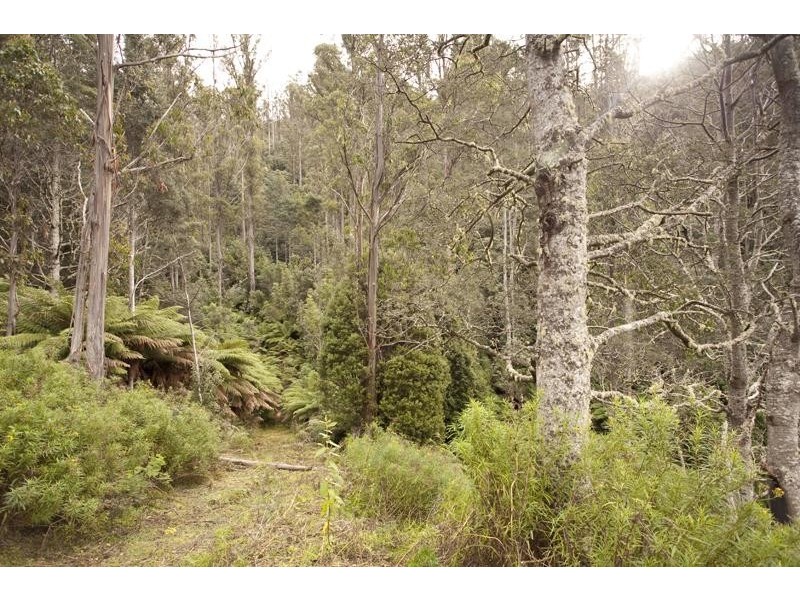 LOT 4 Bakers Creek Road, Lucaston TAS 7109