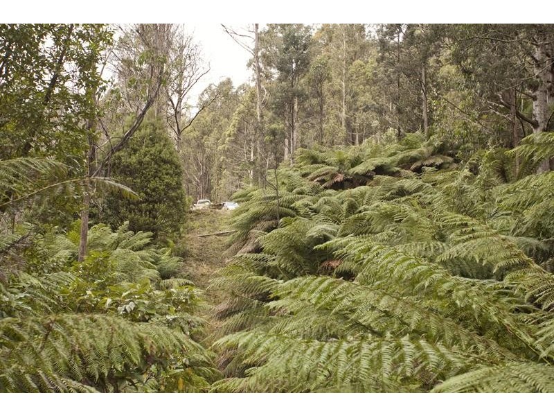 LOT 4 Bakers Creek Road, Lucaston TAS 7109