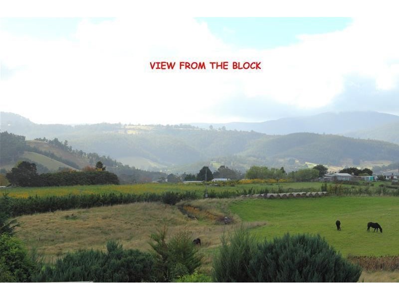 1 Pear Tree Close, Huonville TAS 7109