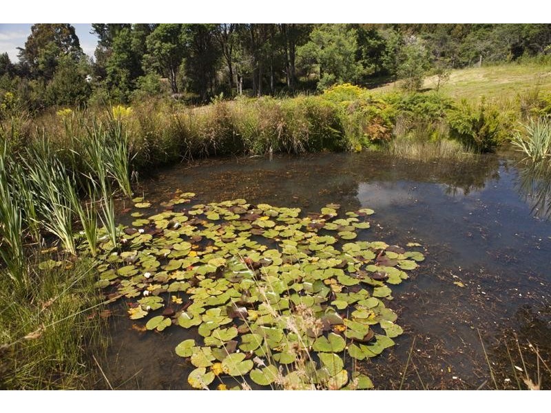 1 Swamp Road, Franklin TAS 7113