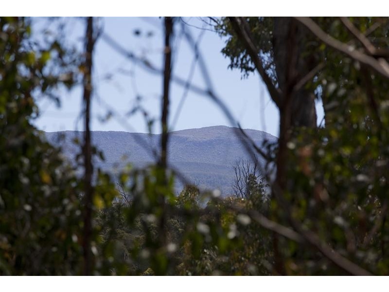 1 Russell Road, Lonnavale TAS 7109