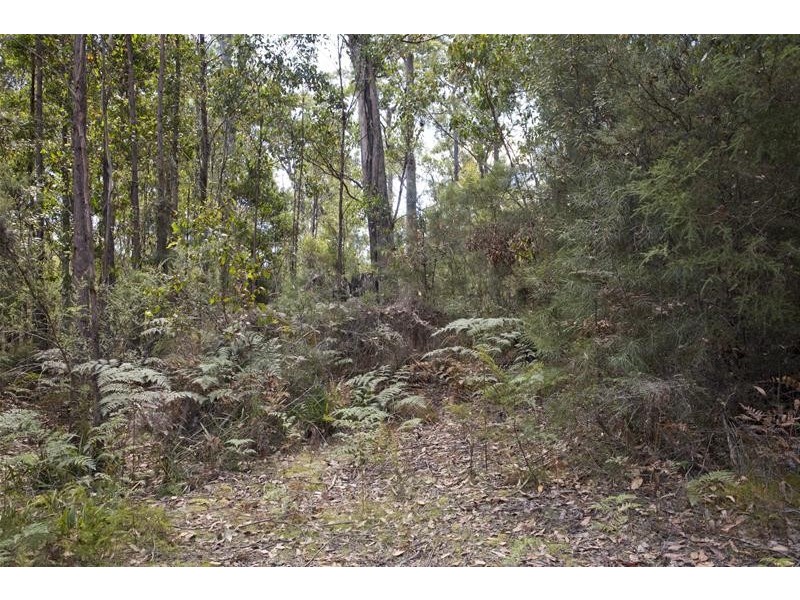 1 Russell Road, Lonnavale TAS 7109