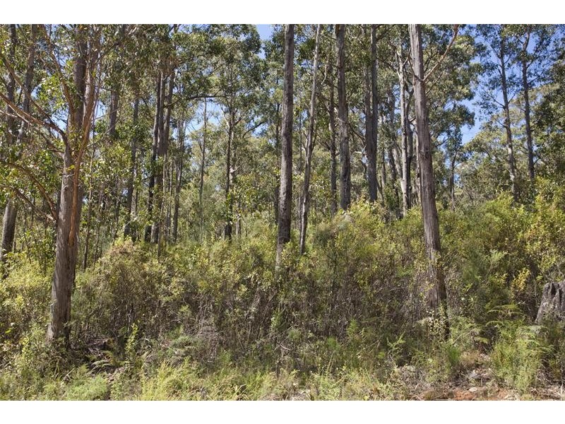 1 Russell Road, Lonnavale TAS 7109