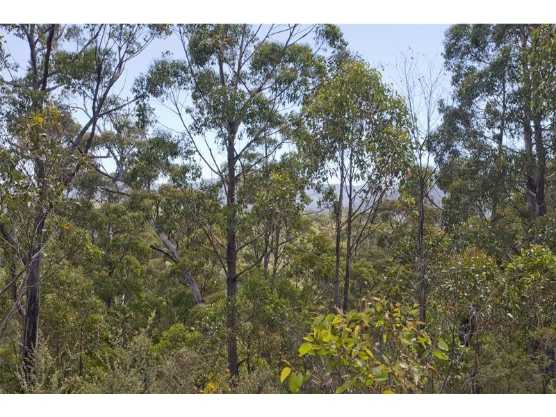 1 Russell Road, Lonnavale TAS 7109