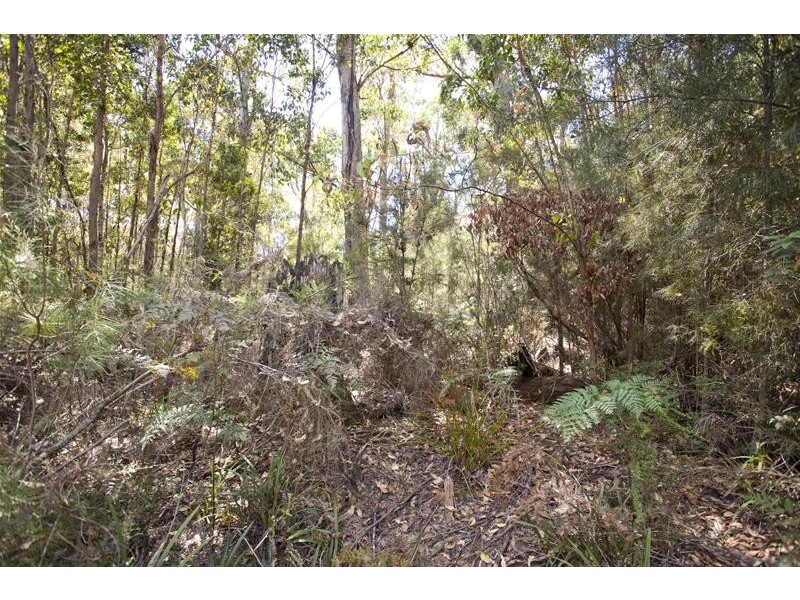 1 Russell Road, Lonnavale TAS 7109