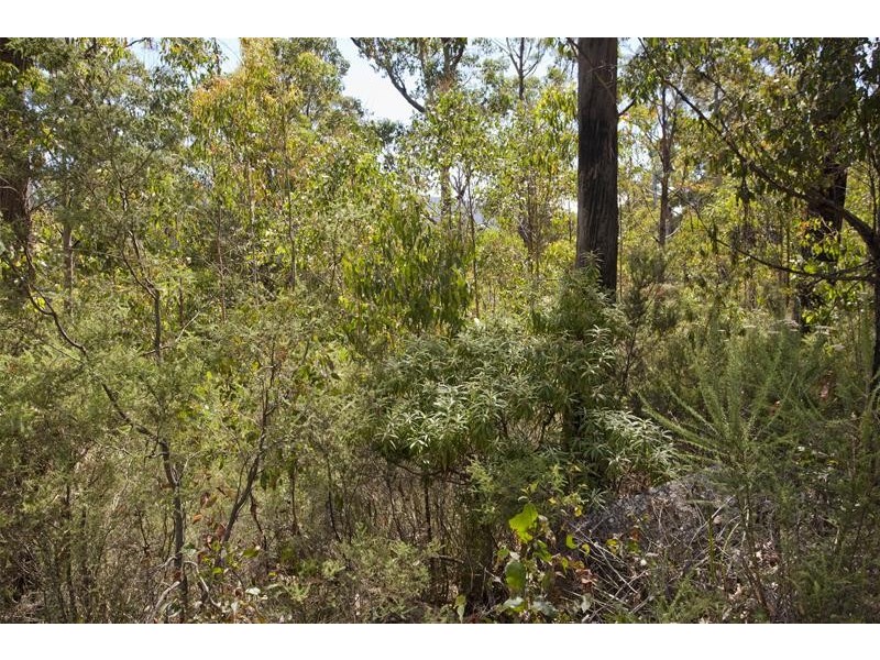 1 Russell Road, Lonnavale TAS 7109