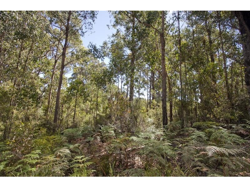 1 Russell Road, Lonnavale TAS 7109