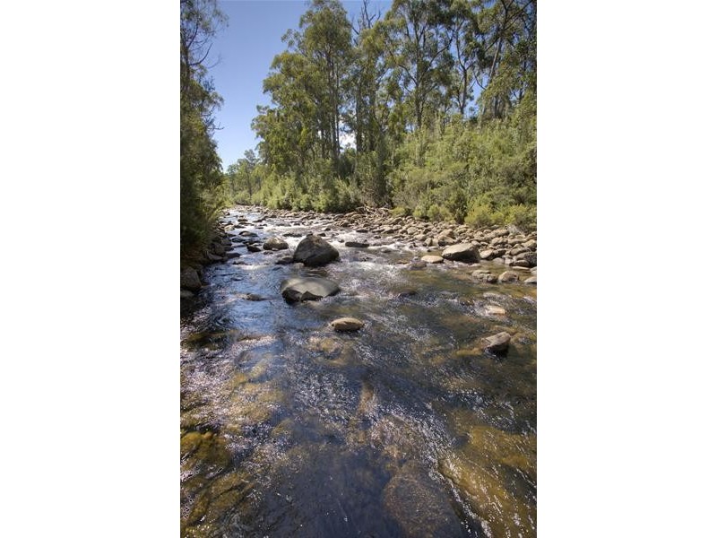 1 Russell Road, Lonnavale TAS 7109