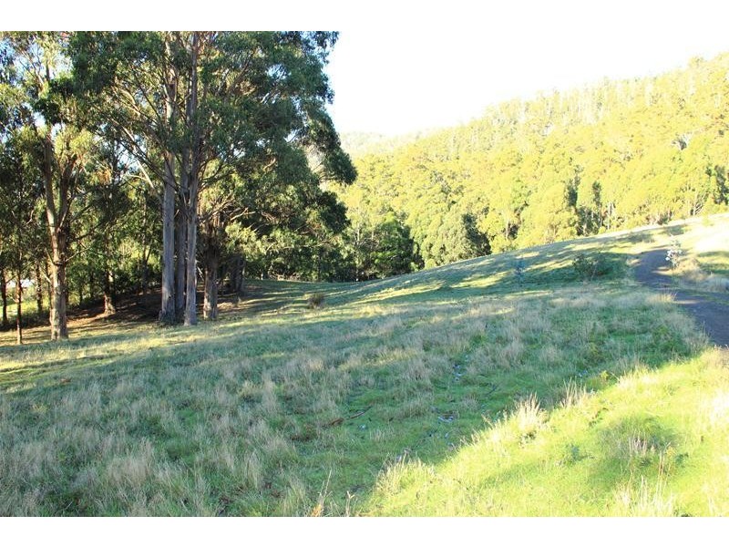 182 Lanes Road, Glen Huon TAS 7109