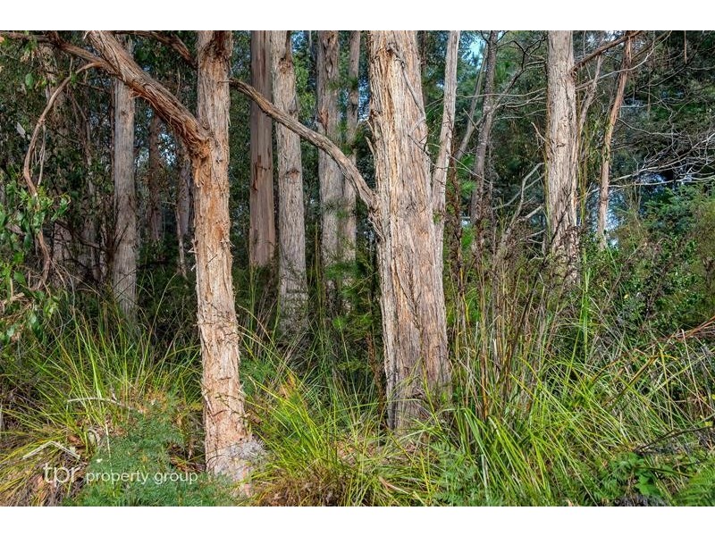 1 Glenbervie Road, Dover TAS 7117