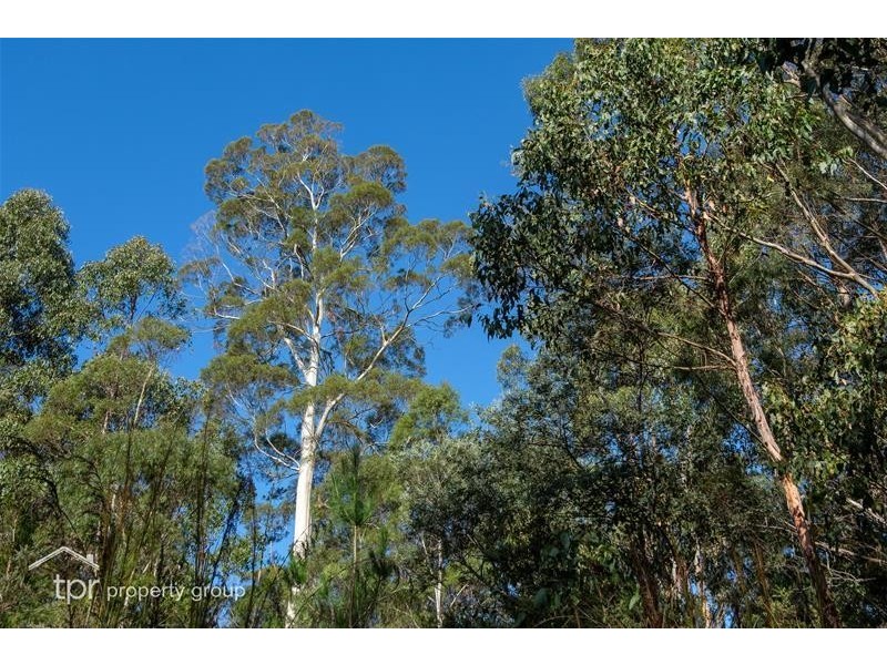 1 Glenbervie Road, Dover TAS 7117