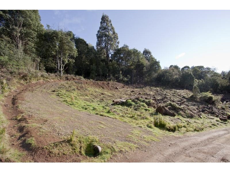 37 Paddys Lane, Franklin TAS 7113