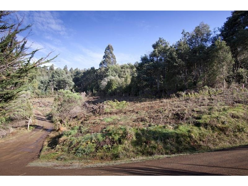 37 Paddys Lane, Franklin TAS 7113