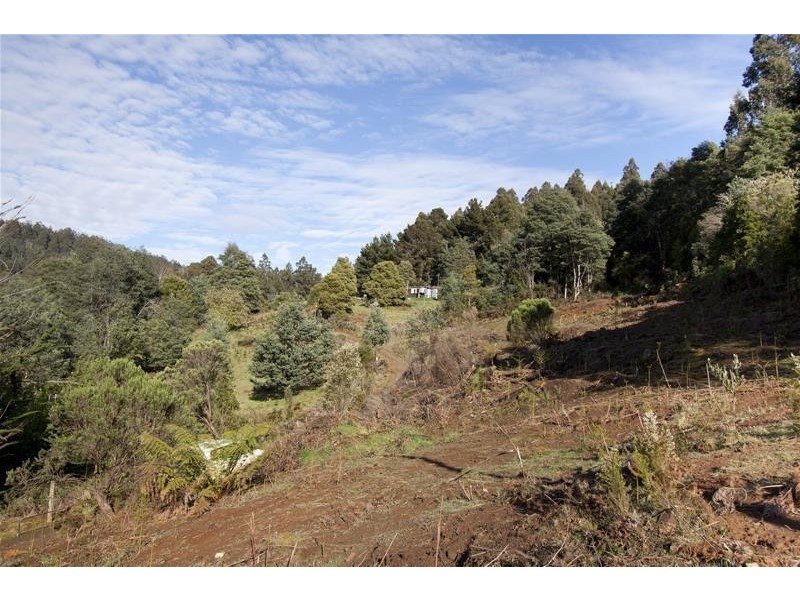 37 Paddys Lane, Franklin TAS 7113