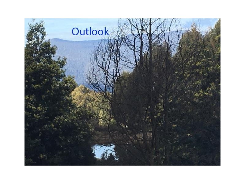 37 Paddys Lane, Franklin TAS 7113