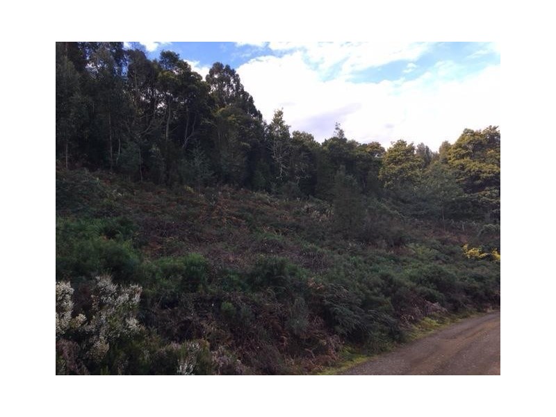 37 Paddys Lane, Franklin TAS 7113