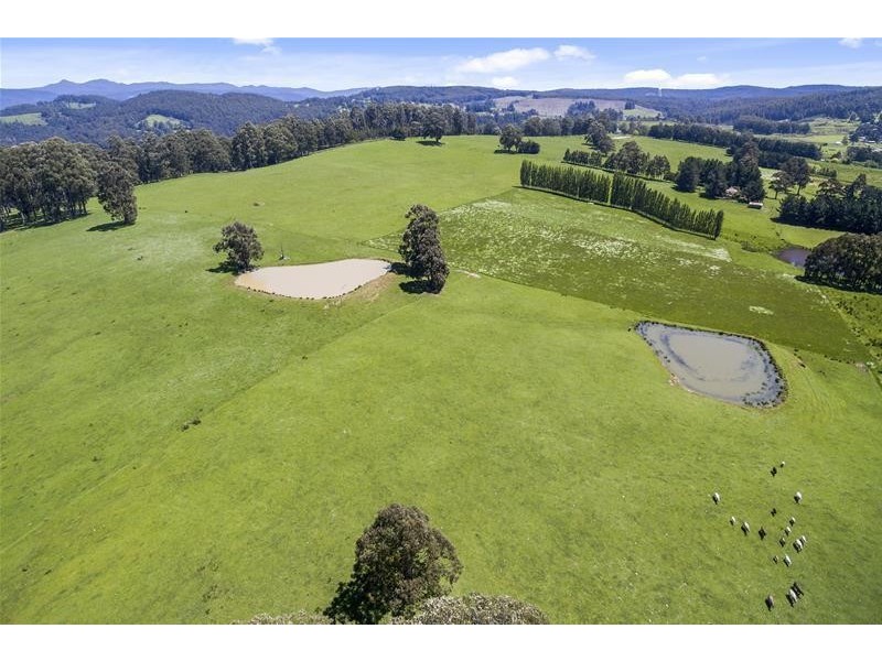 3 Walkers Road, Franklin TAS 7113