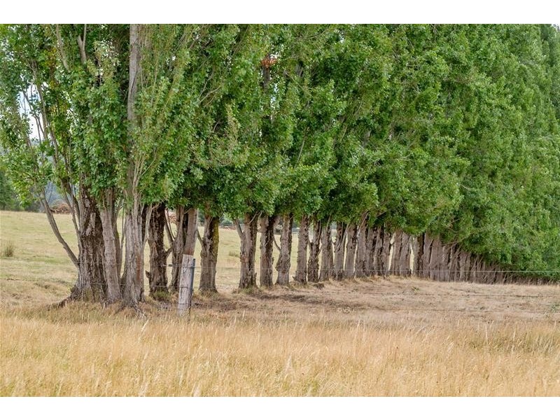 3 Walkers Road, Franklin TAS 7113