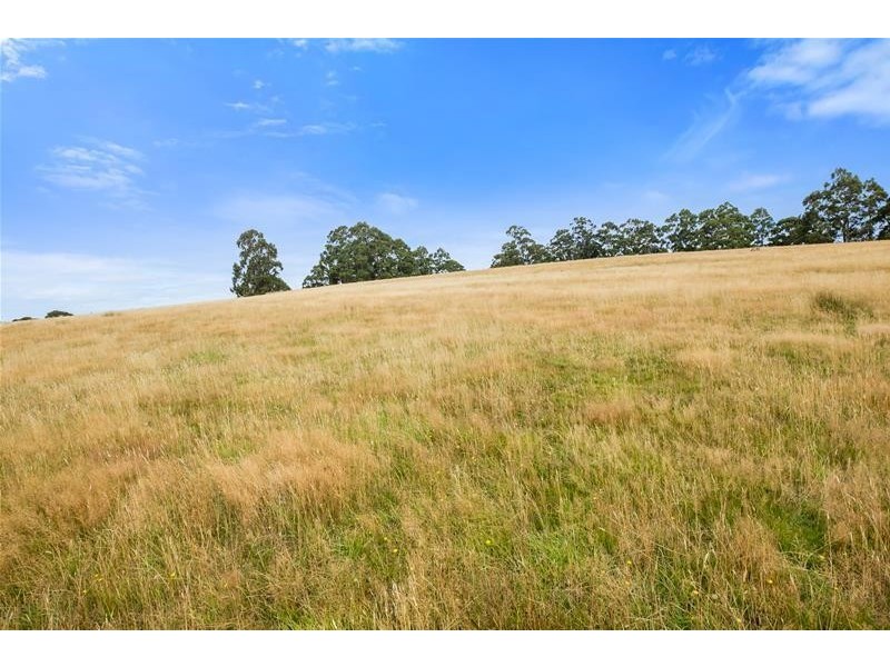 3 Walkers Road, Franklin TAS 7113