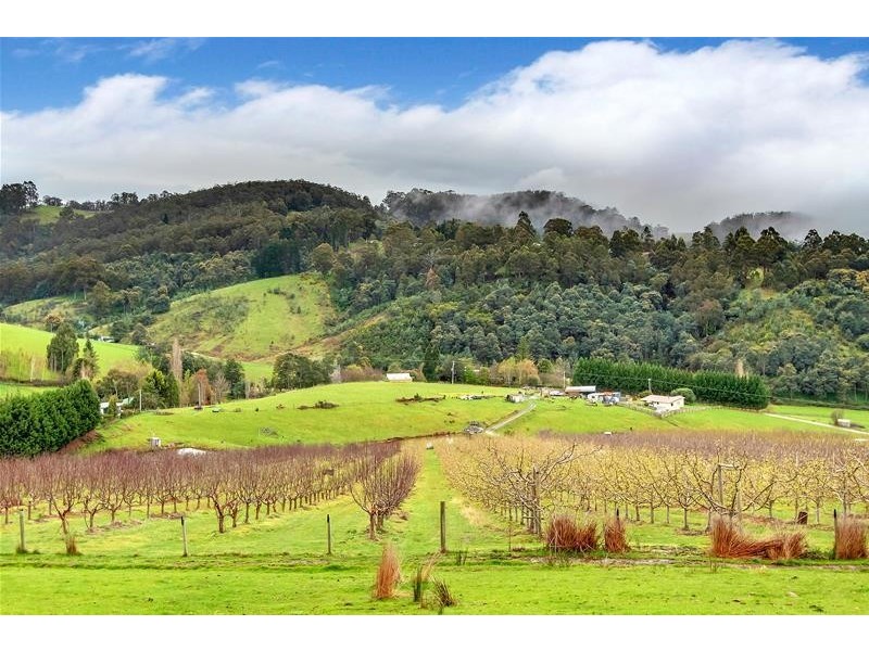 281 Golden Valley Road, Cygnet TAS 7112