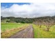 281 Golden Valley Road, Cygnet TAS 7112
