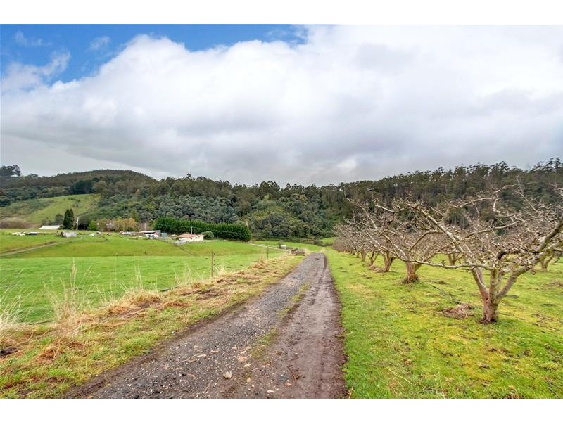 281 Golden Valley Road, Cygnet TAS 7112