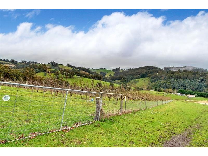 281 Golden Valley Road, Cygnet TAS 7112