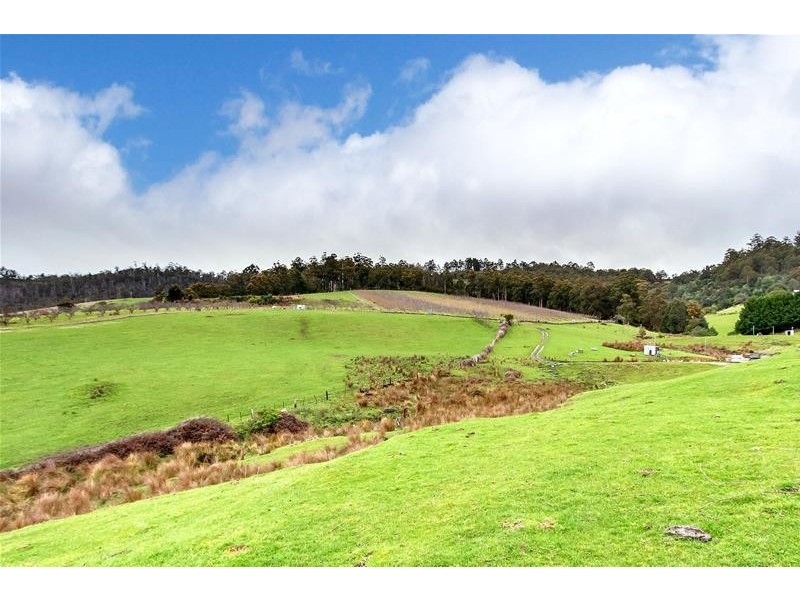 281 Golden Valley Road, Cygnet TAS 7112