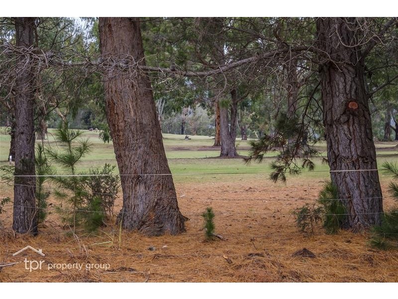 39 Macnaghten Road, Dover TAS 7117